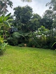 Toh Estate (D17), Detached #457580141